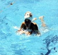 Mount Gambier Aquatic Centre - Accommodation Brunswick Heads