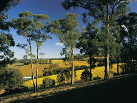 Lobethal SA Accommodation Brunswick Heads