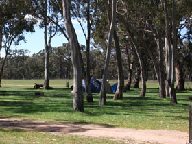 Naracoorte SA Accommodation Brunswick Heads