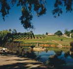 Mount Hurtle Winery home of Geoff Merrill Wines - Accommodation Brunswick Heads