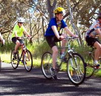 Penola Cycling Trails - Accommodation Brunswick Heads