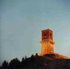 Centenary Tower - Accommodation Brunswick Heads 0