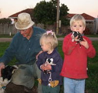Orrie Cowie Merino and Poll Merino Stud - Accommodation Brunswick Heads