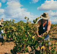 Torbreck Vintners - Accommodation Brunswick Heads
