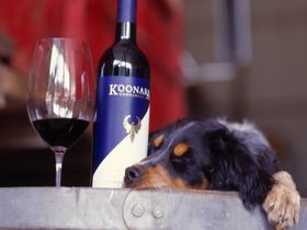 Koonara Wines - Accommodation Brunswick Heads 0