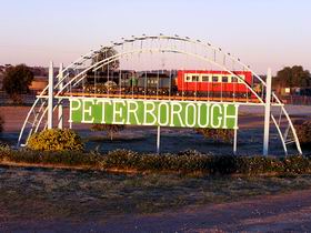 Telford Olives - Accommodation Brunswick Heads 0