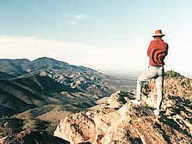 Devil's Peak Walking Trail - Accommodation Brunswick Heads 0