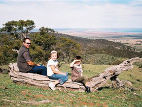 Bridle Track - Accommodation Brunswick Heads 0