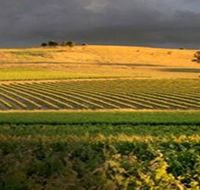 Kellermeister Wines - Accommodation Brunswick Heads