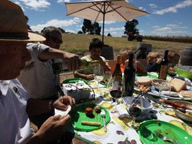 God's Hill Wines - Accommodation Brunswick Heads 0