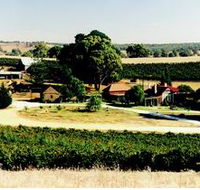Irvine Wines - Accommodation Brunswick Heads