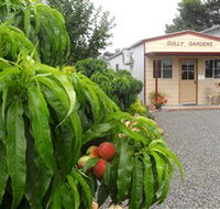 Gully Gardens - Accommodation Brunswick Heads