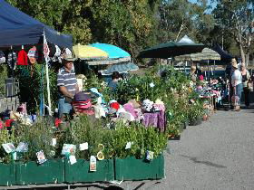 Meadows Monthly Market - Accommodation Brunswick Heads 0
