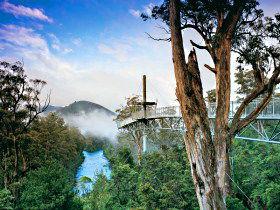 Geeveston TAS Accommodation Brunswick Heads