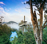 Tahune Adventures Tasmania - Accommodation Brunswick Heads