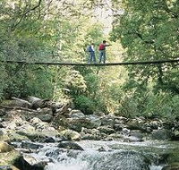 Arve Forest Drive - Accommodation Brunswick Heads