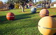 Sculpture Trail - Great Western Tiers - thumb 0