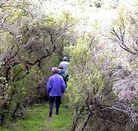 Jack And Hilda McArthur Walk - Accommodation Brunswick Heads