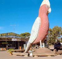 The Big Galah - Accommodation Brunswick Heads