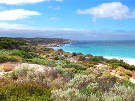Marion Bay SA Accommodation Brunswick Heads