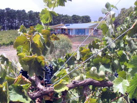 Zimmermann Wine - Accommodation Brunswick Heads 0