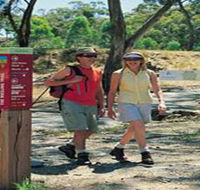 Riesling Trail - Accommodation Brunswick Heads