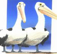 Bay of Shoals Wines - Accommodation Brunswick Heads