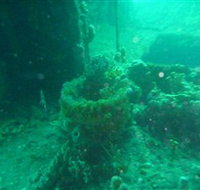 Wallaroo Scuba Club - Accommodation Brunswick Heads