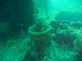 Wallaroo Scuba Club - Accommodation Brunswick Heads 0