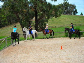 Megan Jones Riding School And Trail Rides - Accommodation Brunswick Heads 0