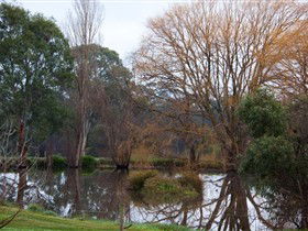 Gemtree Wetlands Ecotrail - Accommodation Brunswick Heads 0