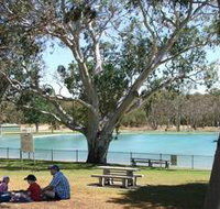 Naracoorte Nature Park and Swimming Lake - Accommodation Brunswick Heads