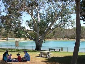Naracoorte Nature Park And Swimming Lake - Accommodation Brunswick Heads 0