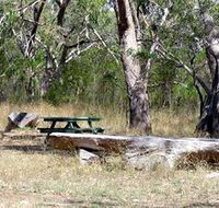 Penola Conservation Park - Accommodation Brunswick Heads