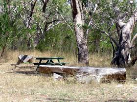 Penola Conservation Park - Accommodation Brunswick Heads 0