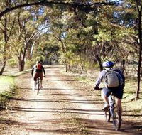 Bike About Mountain Bike Tours And Hire - Accommodation Brunswick Heads