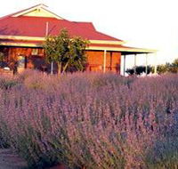 Bella Lavender Estate - Accommodation Brunswick Heads