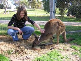 Accommodation Brunswick Heads