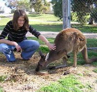 Pendleton Farmstay - Accommodation Brunswick Heads