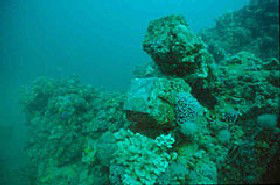 Adelaide's Underwater Heritage Trail - Accommodation Brunswick Heads 0