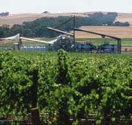 Kirrihill Wines - Accommodation Brunswick Heads