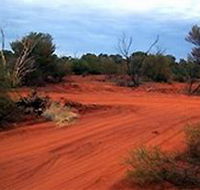 Tallaringa Conservation Park - Accommodation Brunswick Heads