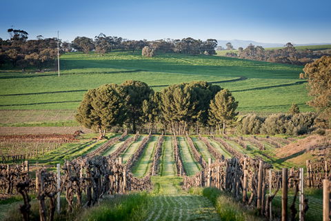Heritage Wines - Accommodation Brunswick Heads 1