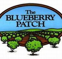 The Blueberry Patch - Accommodation Brunswick Heads