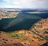 Mount Crawford Forest Reserve - Accommodation Brunswick Heads
