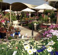 Serenity Nursery - Accommodation Brunswick Heads