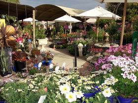 Serenity Nursery - Accommodation Brunswick Heads 0