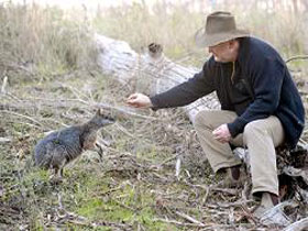 Sinclair's Gully - Accommodation Brunswick Heads 0