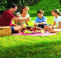 Bruny Island Berry Farm - Accommodation Brunswick Heads