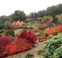 Emu Valley Rhododendron Garden - Accommodation Brunswick Heads